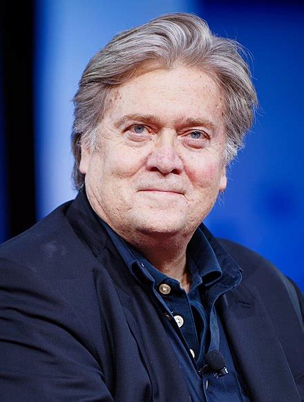 stephen bannon wikipedia